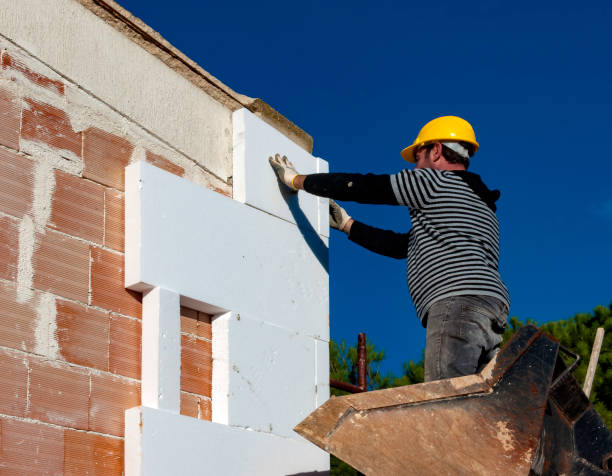 Best Crawl Space Insulation  in Elmo, TX