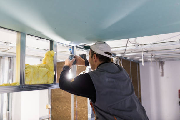 Best Wall Insulation Contractor  in Elmo, TX