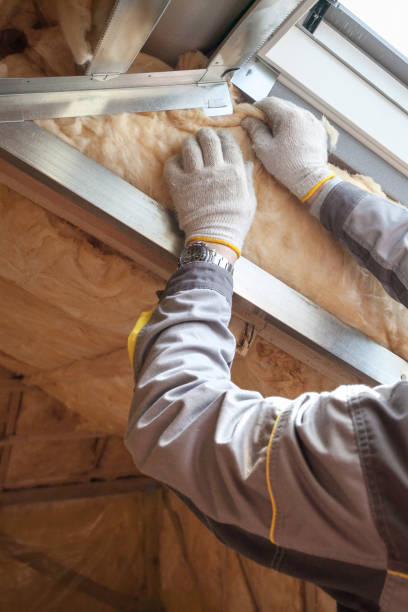 Best Insulation Inspection Services  in Elmo, TX