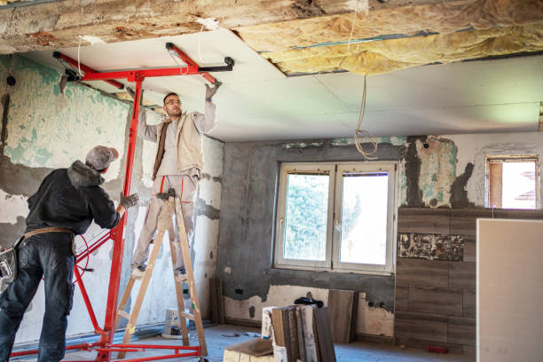 Insulation Repair Services in Elmo, TX