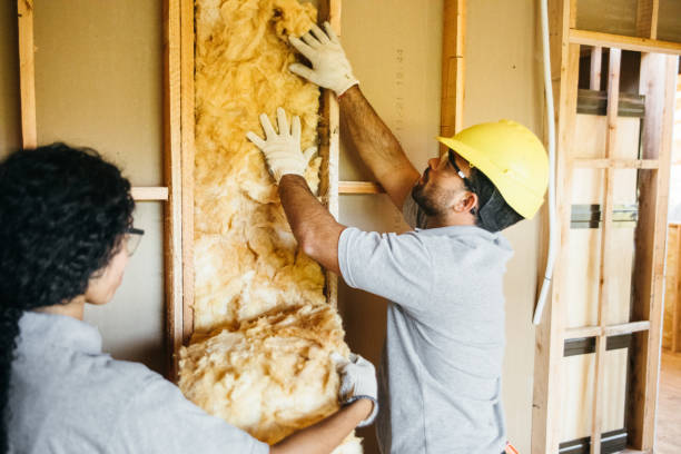 Best Residential Insulation Services  in Elmo, TX