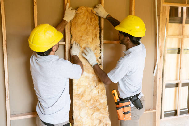 Best Insulation Replacement Services  in Elmo, TX