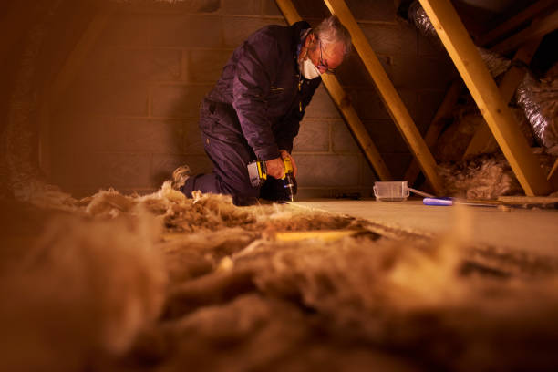 Best Spray Foam Insulation  in Elmo, TX